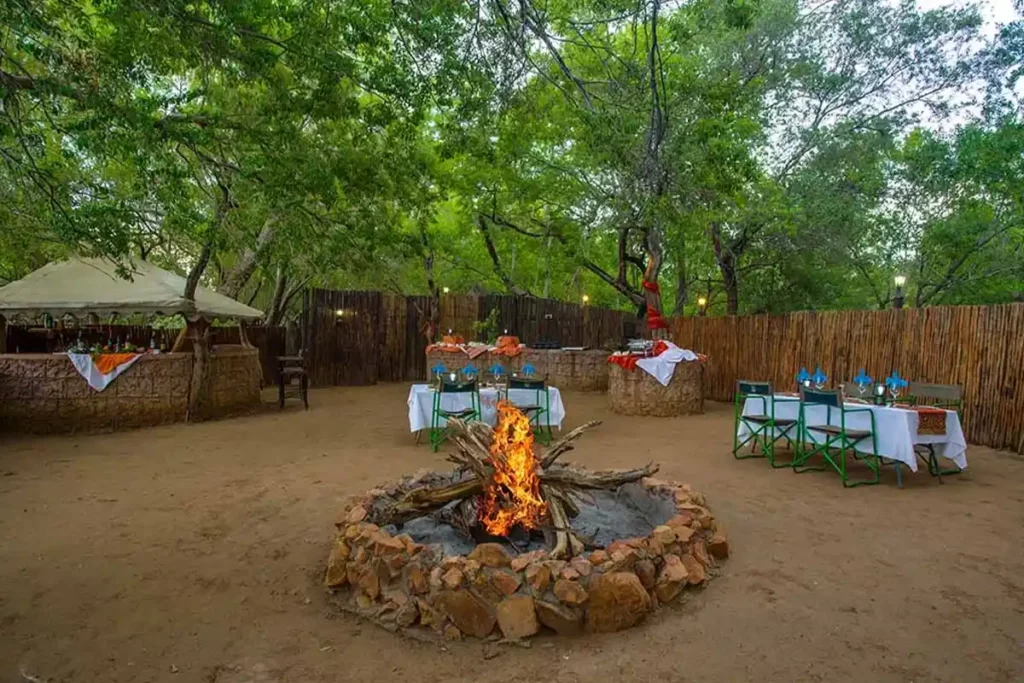 Rustic boma table setting for bush dinner, illuminated by a firepit and gas lanterns.