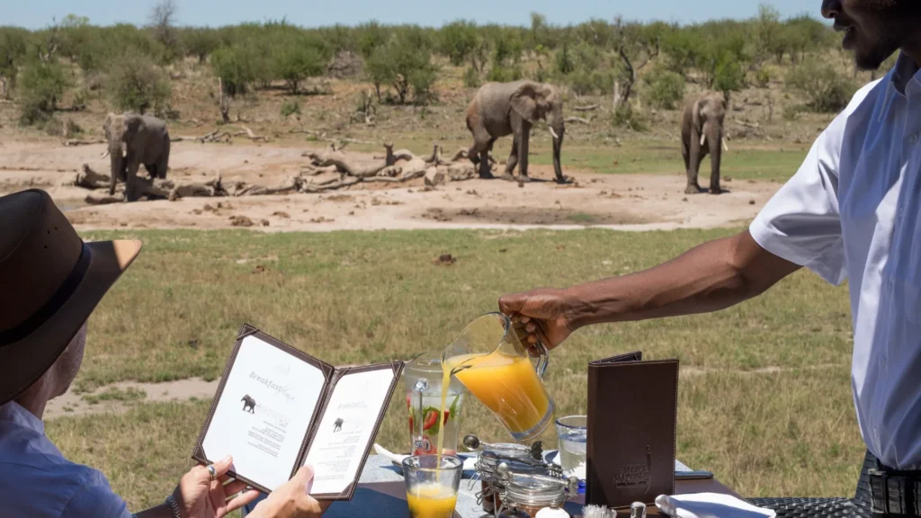 guest reading book while having juice poured at breakfast tabel. Elpehant in the background in the bushveld