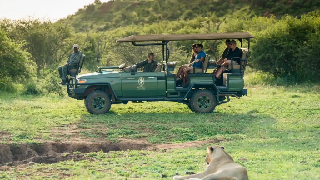 Safari game drive vehicle with tourists watching a lion