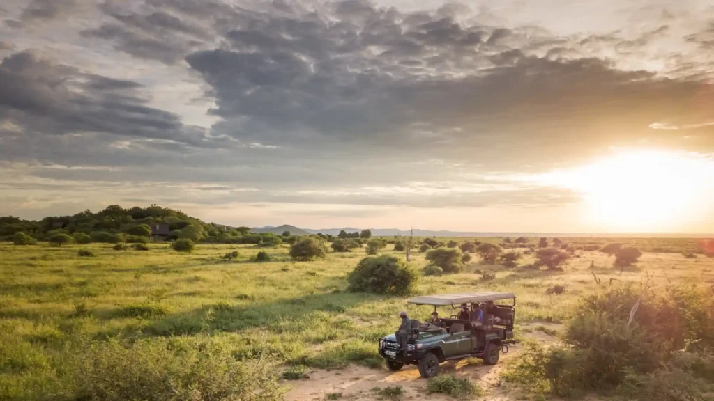 Safari game drive vehicle on African bushveld at sunset
